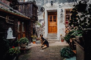 Krumlovska Pohadka fotoÄŸrafÄ±