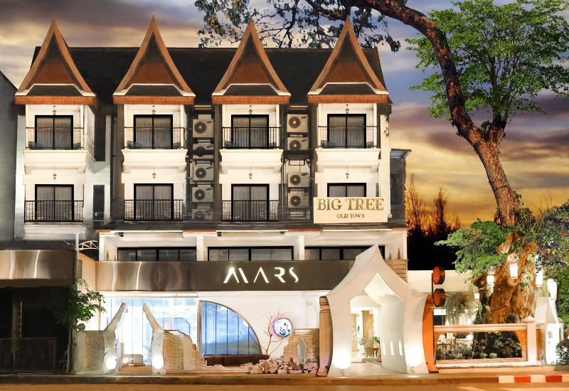 Big Tree Boutique Hotel - Genel