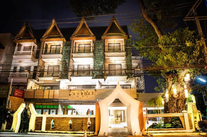 Big Tree Boutique Hotel - Genel