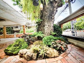 Big Tree Boutique Hotel fotoÄŸrafÄ±