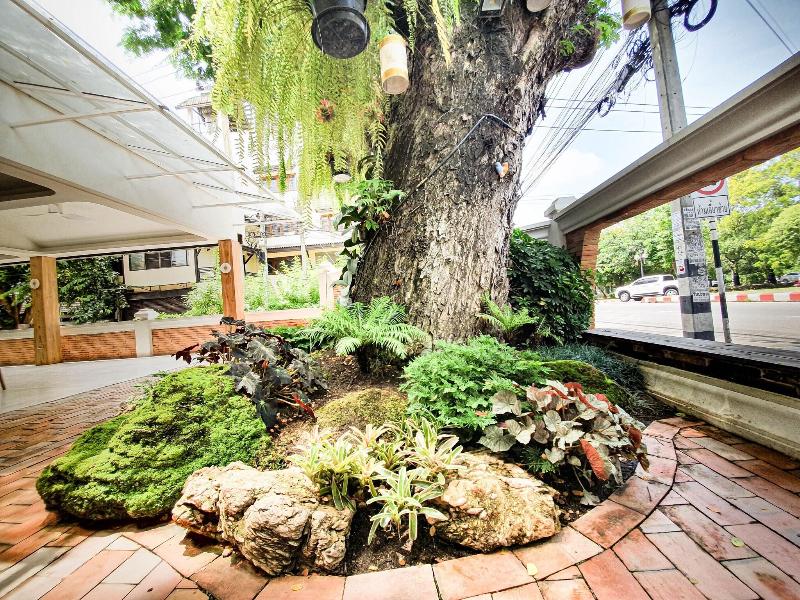 Big Tree Boutique Hotel - Teras