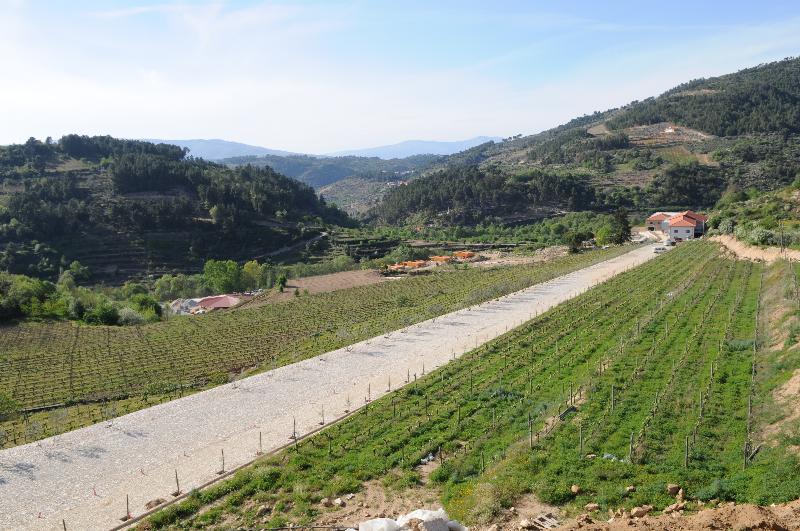 Douro Cister Hotel & Spa - Teras