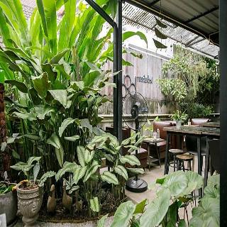 Gord Chiangmai fotoÄŸrafÄ±