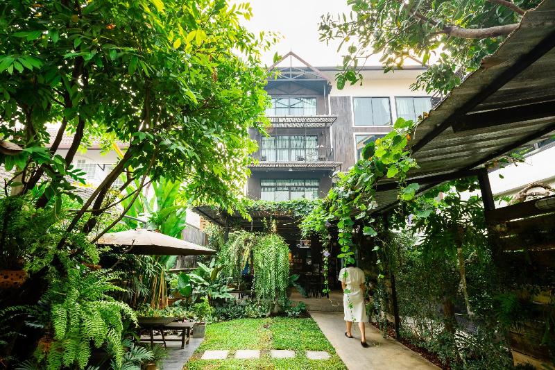 Gord Chiangmai - Genel