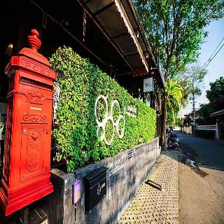 Gord Chiangmai fotoÄŸrafÄ±