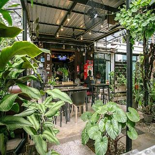 Gord Chiangmai fotoÄŸrafÄ±