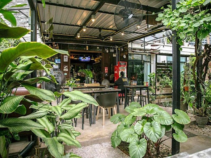Gord Chiangmai - Genel
