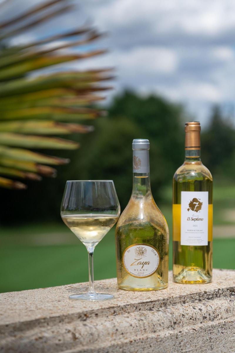 Domaine de Vaugouard – La Maison Younan - Genel