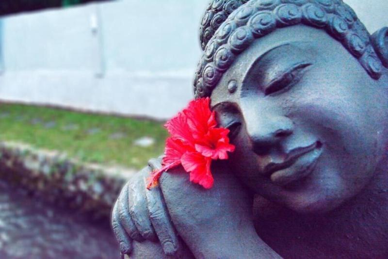 Fullmoon Villa Ubud - Genel