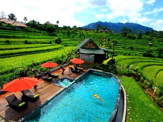 Sawah Indah Villa fotoÄŸrafÄ±