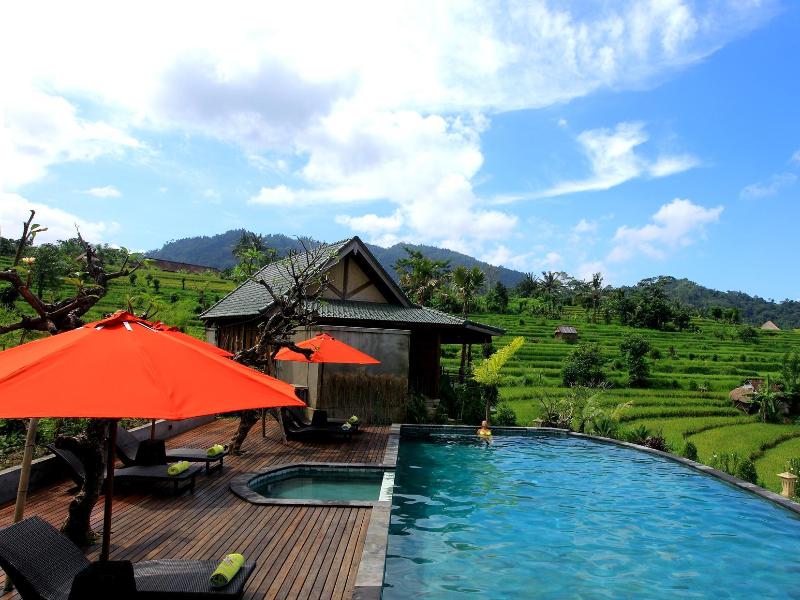 Sawah Indah Villa - Havuz