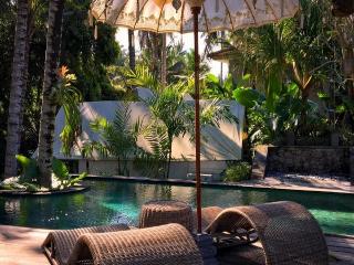 Ubud Tropical fotoÄŸrafÄ±