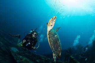 Bali Dive Resort And Spa fotoÄŸrafÄ±