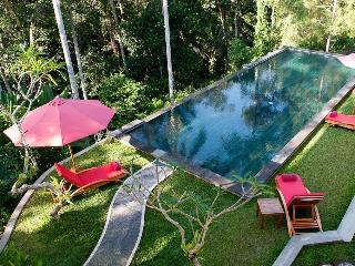 Suara Air Luxury Villa Ubud fotoÄŸrafÄ±
