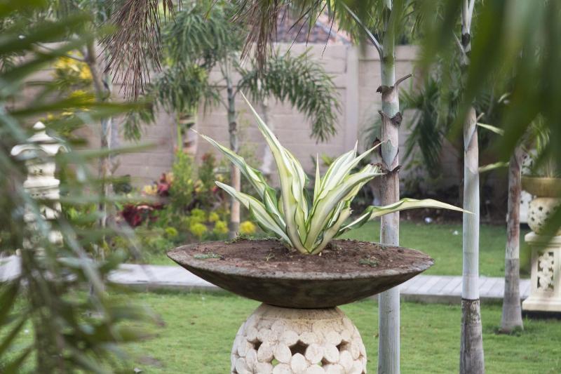 The Palm Grove Villas - Genel