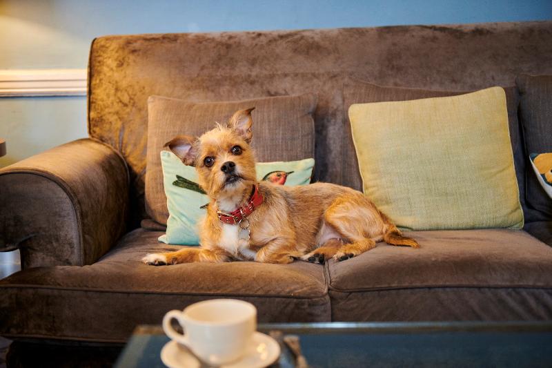 Queens Hotel Cheltenham - Genel
