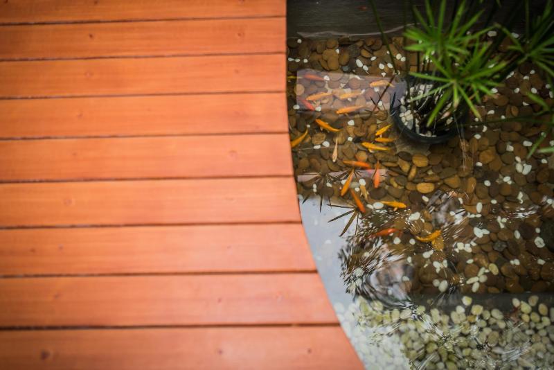 Le Terrarium Bed & Sleep Chiang Rai - Genel