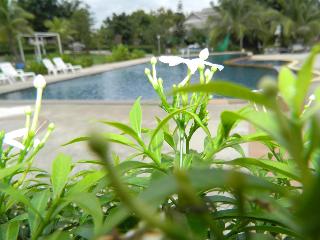 Pai Iyara Resort fotoÄŸrafÄ±