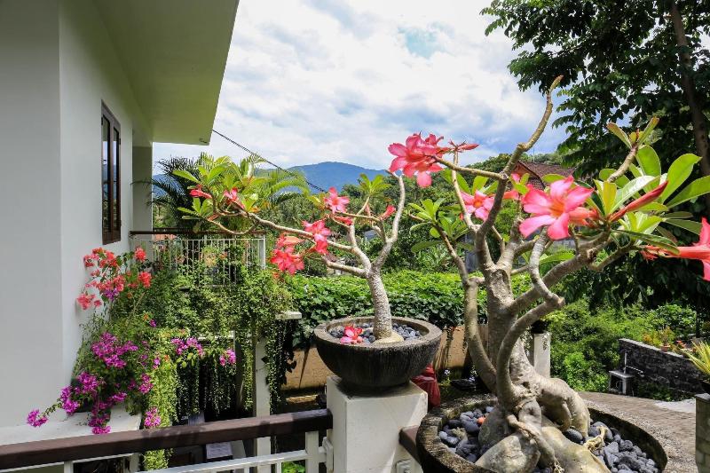 Dewivilla Hotel - Teras