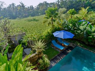 Dewi Sri Private Villa otel fotoğrafı
