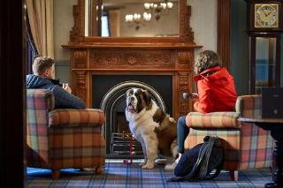 Oban Bay Hotel fotoÄŸrafÄ±