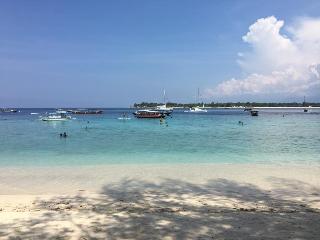 Gili Turtle Beach Resort otel fotoğrafı