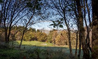 Glasgow Westerwood Hotel, Spa & Golf Resort fotoÄŸrafÄ±