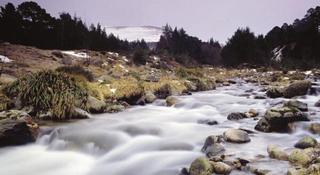 Macdonald Highland Hotel fotoÄŸrafÄ±