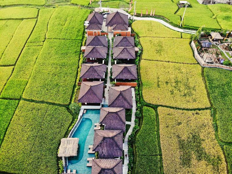 Kayangan Villa Ubud - Genel