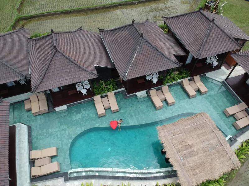 Kayangan Villa Ubud - Havuz