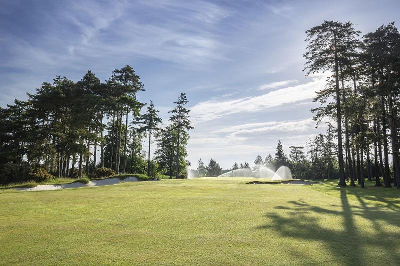 Old Course Hotel, Golf Resort & Spa - Aktivite