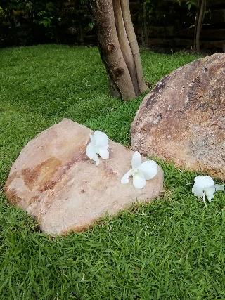 Capricorn Village fotoÄŸrafÄ±