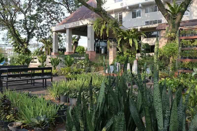 Rattana Park Hotel - Genel