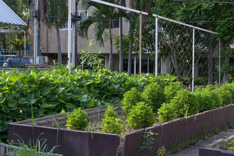 Rattana Park Hotel - Genel