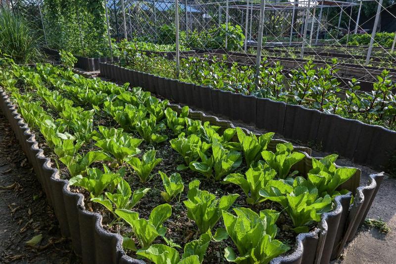 Rattana Park Hotel - Genel