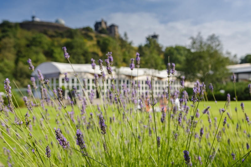 The Glasshouse, Autograph Collection hotels - Teras