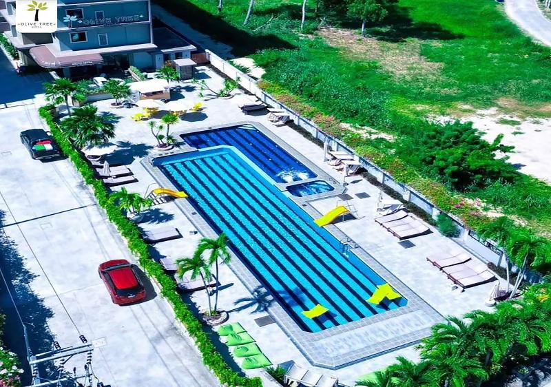 Olive Tree Hotel Pattaya - Genel