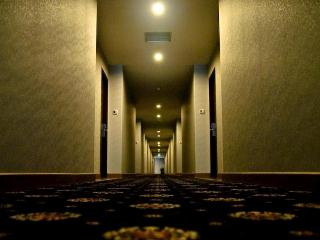 Star Hotel fotoÄŸrafÄ±