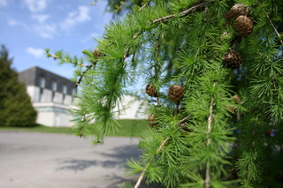 Eight Acres Hotel fotoÄŸrafÄ±