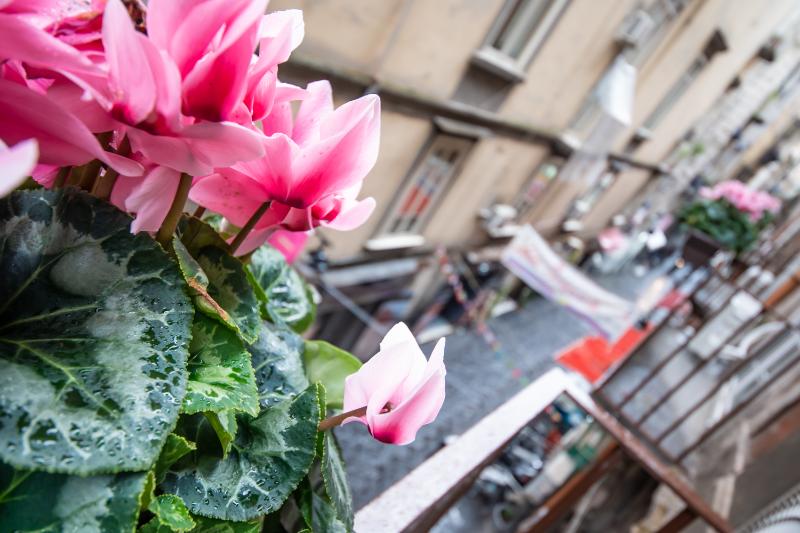 B&B Napoli Time - Genel