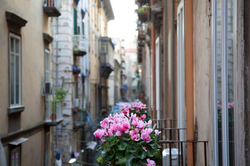 B&B Napoli Time - Genel