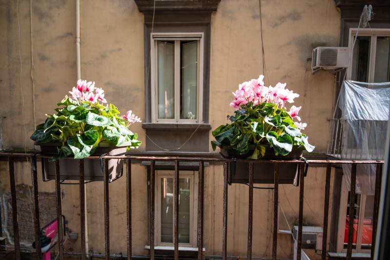 B&B Napoli Time - Oda