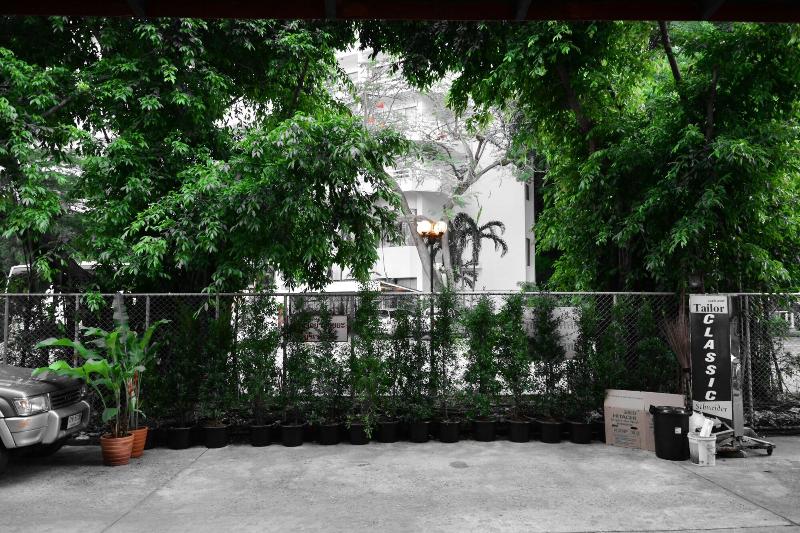 Seedling House - Genel