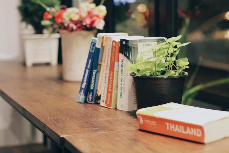 Mint Hostel - Genel