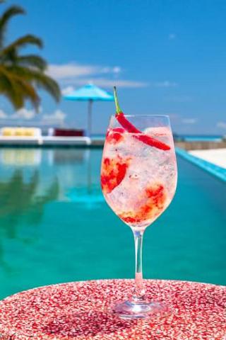 The Standard Maldives by Hyatt fotoÄŸrafÄ±