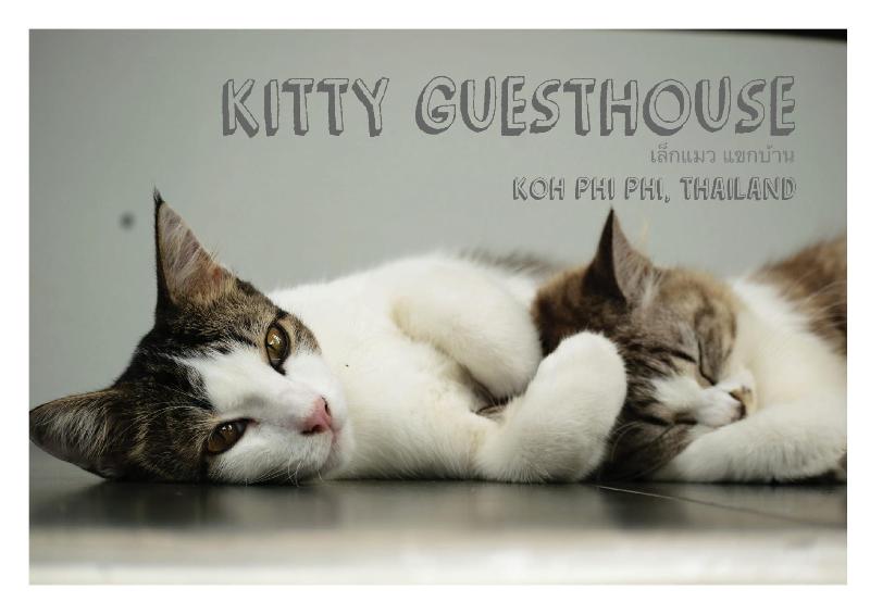 Kitty Guesthouse - Genel