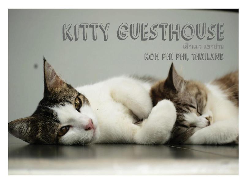 Kitty Guesthouse - Genel