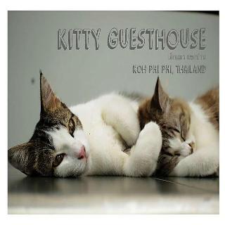 Kitty Guesthouse fotoÄŸrafÄ±