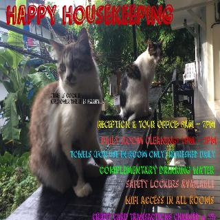 Kitty Guesthouse fotoÄŸrafÄ±