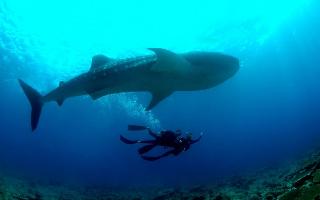 Baglioni Resort Maldives fotoÄŸrafÄ±